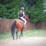 Nad Jeziorem * Piecki (Warmian-Masurian)