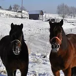 Gospodarstwo agroturystyczne Nad Jeziorem *