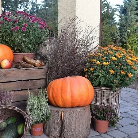 Nad Jeziorem *