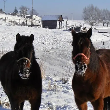 Farm stay Nad Jeziorem *