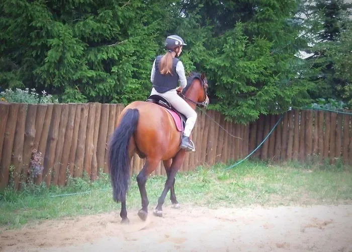 Nad Jeziorem * Piecki (Warmian-Masurian)