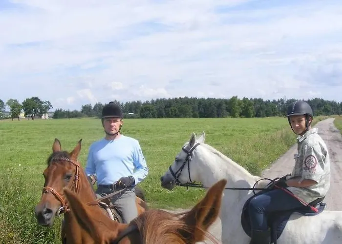 Nad Jeziorem Farm stay