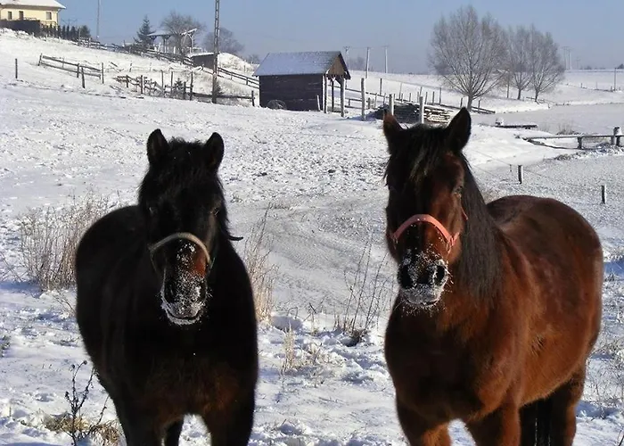 Farm stay Nad Jeziorem *